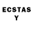 Ecstasy louis Vuitton Anrie Matisse