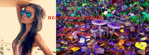 мескалин Абинск