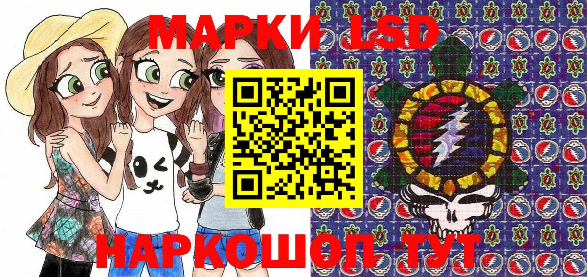 Альфа ПВП Хасавюрт