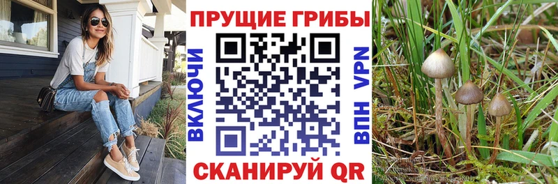 Галлюциногенные грибы Magic Shrooms это клад Хасавюрт хочу наркоту