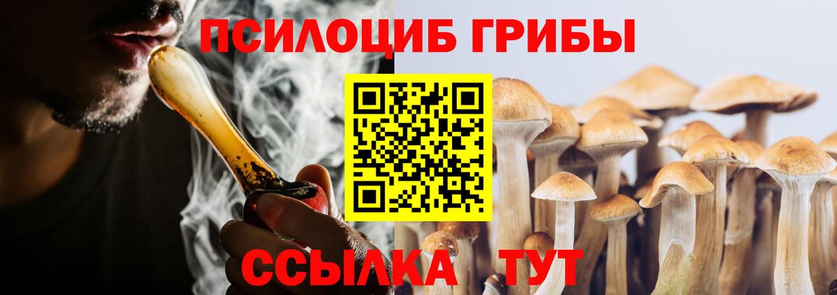 Псилоцибиновые грибы Psilocybine cubensis Хасавюрт
