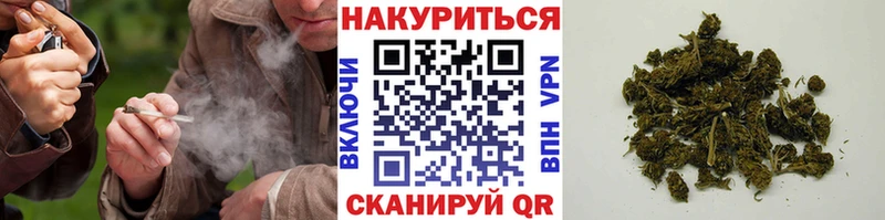 Конопля Amnesia  Хасавюрт 