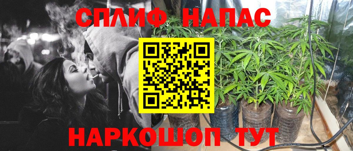 Каннабис Amnesia Хасавюрт
